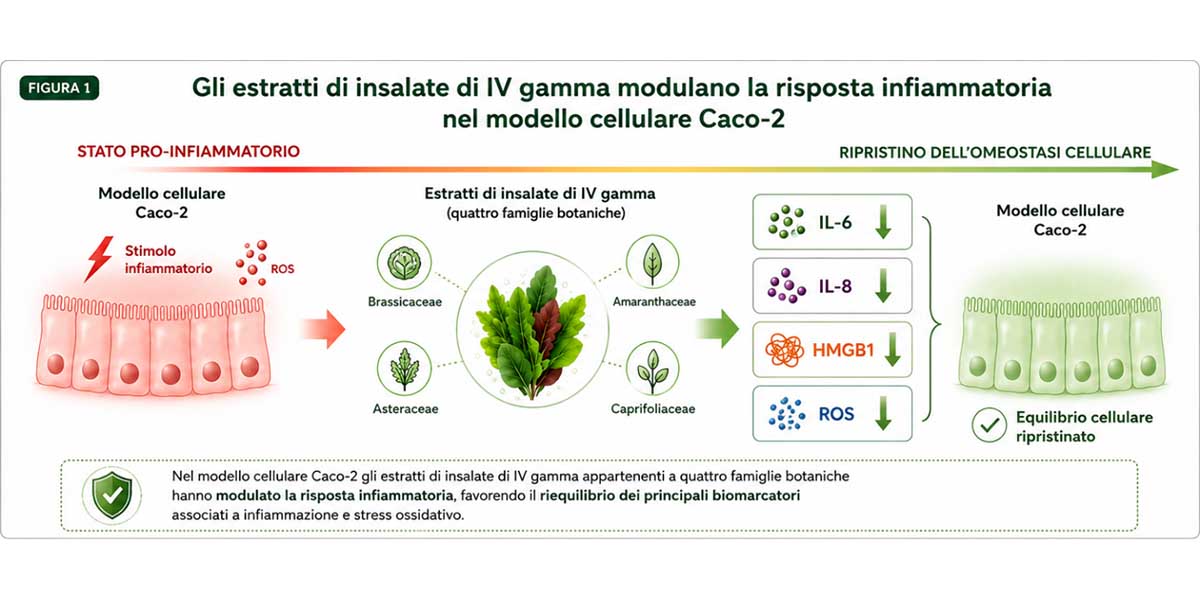 Figura 1: © Istituto Spallanzani